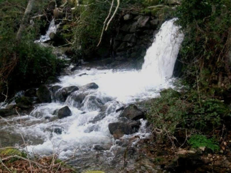 Quinta Do Lagar Da Moira Otel Vila Franca da Serra Dış mekan fotoğraf